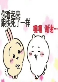 宁南县石膏板