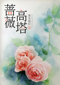 蔷薇高塔小说全文